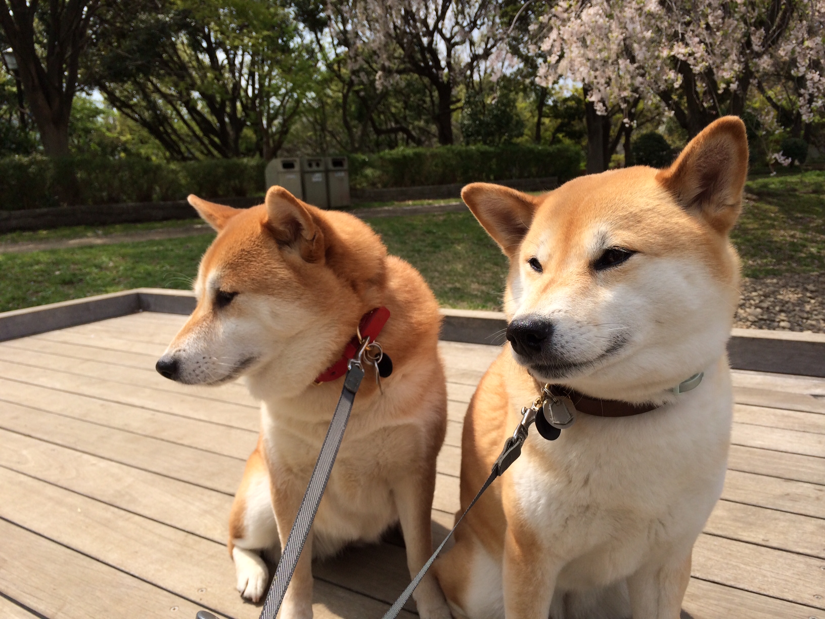 20140410出会い　ももとなな.JPG