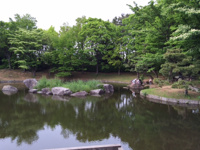 20150506新緑__ 3.JPG