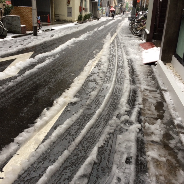 20160118雪.JPG