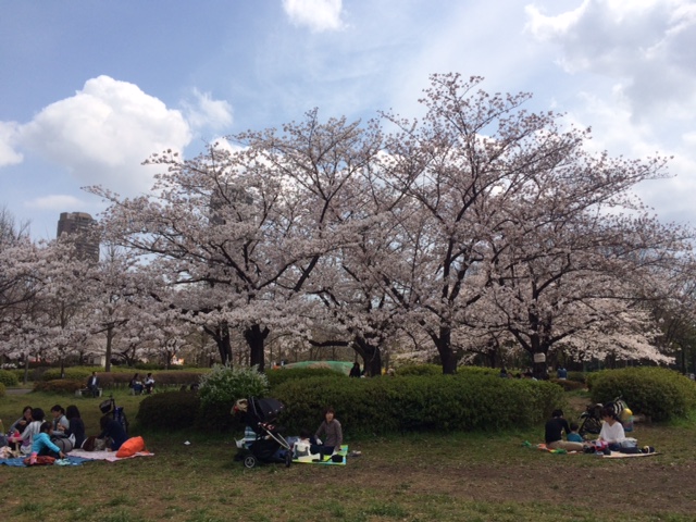 20170406猿江桜２IMG_7195.JPG